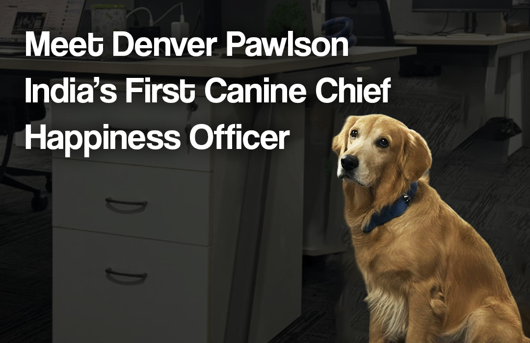 Denver Pawlson is India’s First Canine Chief Happiness Officer